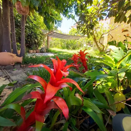 Welcoming House With Pool In San Cristobal - 85 M² Casa vacanze La Laguna (Tenerife)