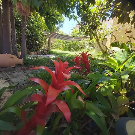 Welcoming House With Pool In San Cristobal - 85 M² Nyaraló La Laguna