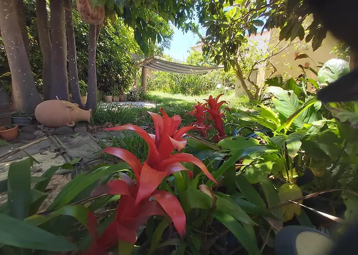 Welcoming House With Pool In San Cristobal - 85 M² Nyaraló La Laguna